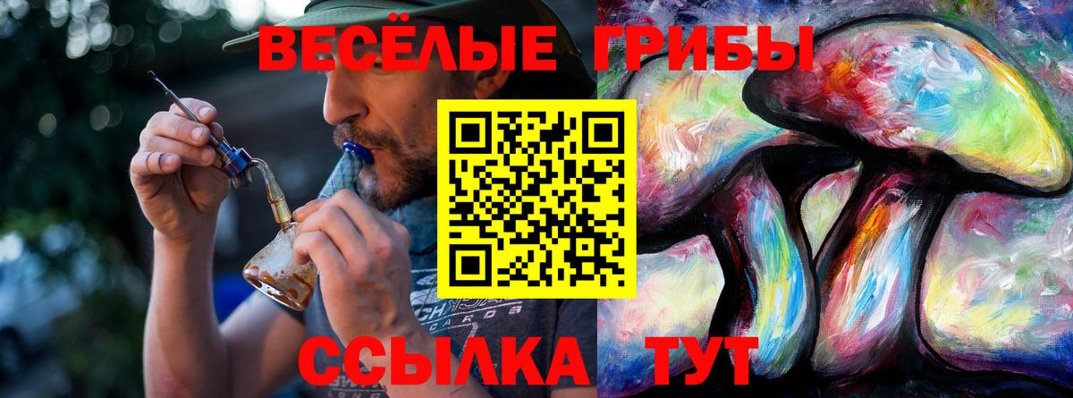 Галлюциногенные грибы GOLDEN TEACHER Урай